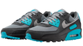Nike Air Max 90 'Cool Grey / Dusty Cactus / Black / Wolf Grey'